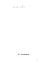 Referāts 'Dzeses sistēmu mezglu remonts', 13.