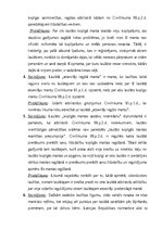 Diplomdarbs 'Laulāto mantisko attiecību tiesiskais regulējums Latvijā', 89.