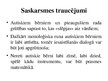 Prezentācija 'Bērnības autisms', 11.