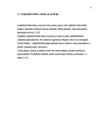 Referāts 'Uzņēmuma vadības principi un to teorētiskais pamatojums', 6.