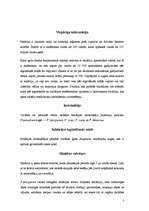 Referāts 'Malārija', 3.