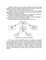 Referāts 'Uzņēmuma vadīšana mainīgas ārējās vides apstākļos ', 6.