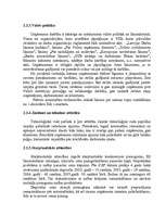 Referāts 'Uzņēmuma vadīšana mainīgas ārējās vides apstākļos ', 22.