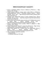 Referāts 'Uzņēmuma vadīšana mainīgas ārējās vides apstākļos ', 29.