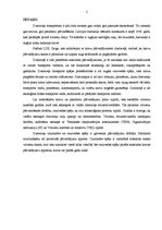 Referāts 'Dzelzceļa transporta sistēma', 2.