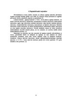 Referāts 'Atkritumu pārstrāde: pārveidošana ar tvaiku', 13.