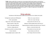 Konspekts 'Mārketinga plāns vasaras sezonai deliktešu veikalam', 5.