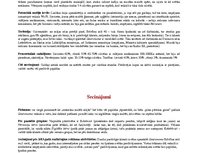 Konspekts 'Mārketinga plāns vasaras sezonai deliktešu veikalam', 7.