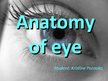 Prezentācija 'Anatomy of Eye', 1.