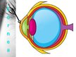 Prezentācija 'Anatomy of Eye', 6.