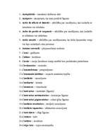 Konspekts 'Juridiskie termini latīņu valodā', 1.