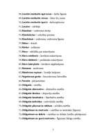 Konspekts 'Juridiskie termini latīņu valodā', 3.