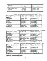 Biznesa plāns 'Ēdināšanas uzņēmuma tehnoloģiskais projekts', 22.