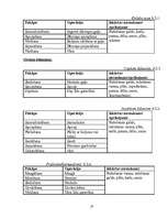 Biznesa plāns 'Ēdināšanas uzņēmuma tehnoloģiskais projekts', 27.