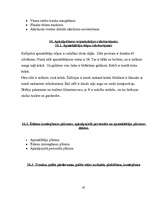 Biznesa plāns 'Ēdināšanas uzņēmuma tehnoloģiskais projekts', 45.