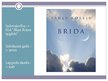 Prezentācija 'Paulu Koelju "Brida"', 2.