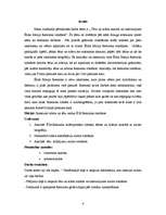 Referāts 'Tēlu un sižetu raksturojums un analīze Ēriha Marija Remarka romānos', 4.