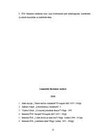 Referāts 'Tēlu un sižetu raksturojums un analīze Ēriha Marija Remarka romānos', 32.