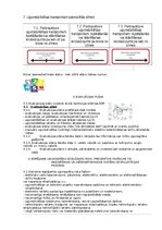 Paraugs 'Ugunsdrošības noteikumi, rīcība ugunsgrēka gadījumā', 14.