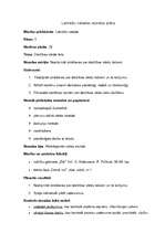 Konspekts 'Darbības vārda laiki. Latviešu valodas stundas plāns', 1.