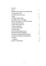 Referāts 'Pašvaldību attīstība un darbība', 2.