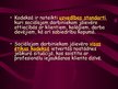 Prezentācija 'Sociālā darbinieka ētikas kodekss', 6.