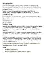 Prezentācija 'Dzeloņainais velnābols', 11.