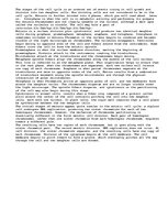 Eseja 'Mitosis', 1.