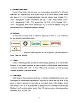 Referāts 'Viesnīca "Luxor"', 8.