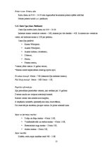 Referāts 'Viesnīca "Luxor"', 13.