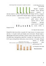 Diplomdarbs 'Kafejnīca "Moreto"', 19.
