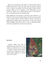 Diplomdarbs 'Kafejnīca "Moreto"', 26.