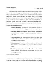 Diplomdarbs 'Kafejnīca "Moreto"', 27.