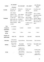 Diplomdarbs 'Kafejnīca "Moreto"', 29.