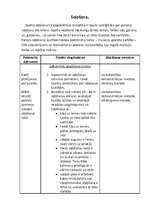 Konspekts 'Soļošana', 1.