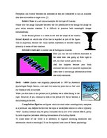 Konspekts 'Optical Illusions', 2.