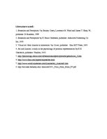 Konspekts 'Optical Illusions', 8.