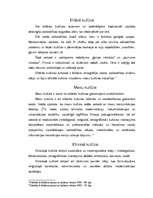 Konspekts 'Kultūras tipoloģijas', 3.