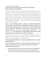 Referāts 'Dizains, dizaina domāšana. Dizains Latvijas kultūrpolitikā', 11.