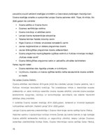 Referāts 'Dizains, dizaina domāšana. Dizains Latvijas kultūrpolitikā', 15.