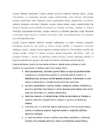 Referāts 'Dizains, dizaina domāšana. Dizains Latvijas kultūrpolitikā', 16.