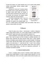 Referāts 'Kristāli dabā un mākslīgo kristālu audzēšana', 11.