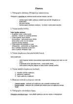 Konspekts 'Finanses', 1.