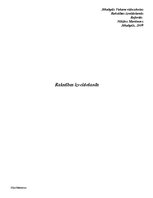 Referāts 'Rakstības izveidošanās', 1.