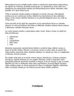 Referāts 'Rakstības izveidošanās', 4.