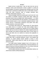 Referāts 'SIA "Izzi", AS "Balticom", SIA "Baltcom" finanšu stāvokļa analīze', 3.