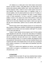 Referāts 'SIA "Izzi", AS "Balticom", SIA "Baltcom" finanšu stāvokļa analīze', 19.