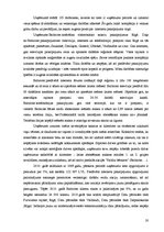 Referāts 'SIA "Izzi", AS "Balticom", SIA "Baltcom" finanšu stāvokļa analīze', 20.