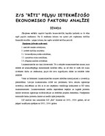 Referāts 'Z/s "Rīti" peļņu ietekmējošo ekonomisko faktoru analīze', 1.