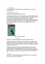 Konspekts 'Badmintona spēle', 7.